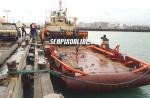 ID 2708 Southern Salvor